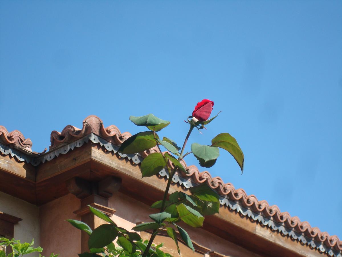 Oikia Alexandrou Traditional Inn อาร์ไนยา ภายนอก รูปภาพ