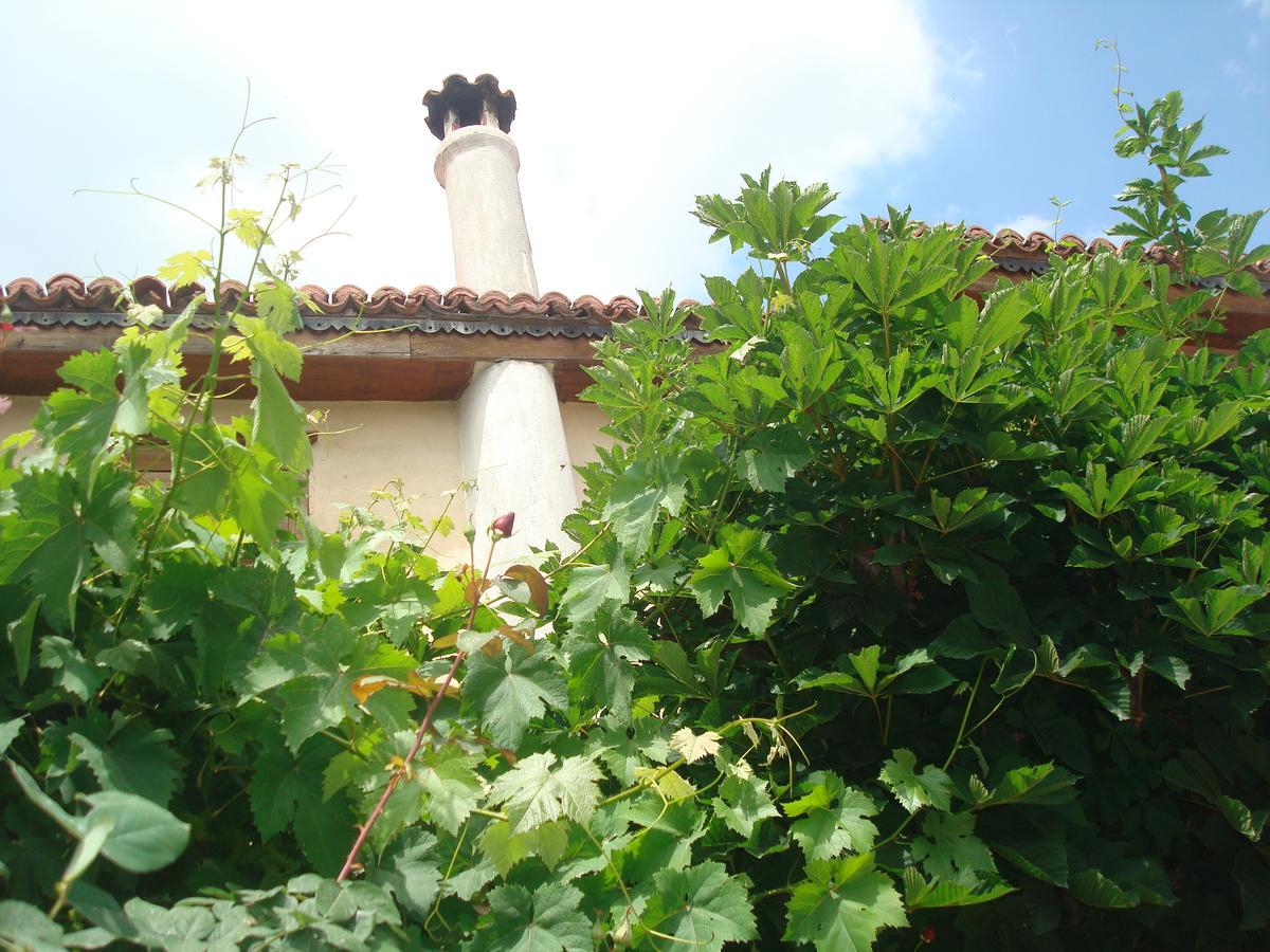 Oikia Alexandrou Traditional Inn อาร์ไนยา ภายนอก รูปภาพ