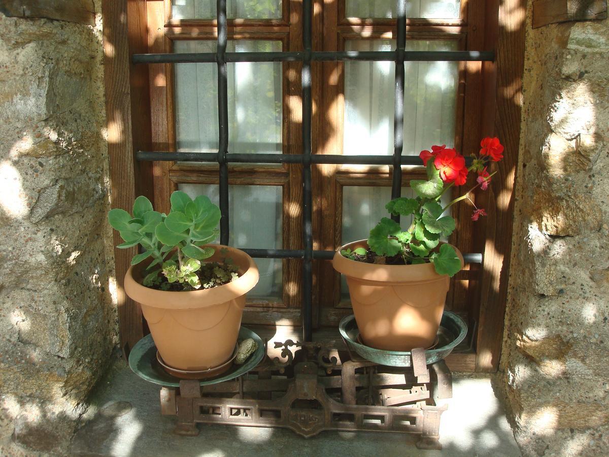 Oikia Alexandrou Traditional Inn อาร์ไนยา ภายนอก รูปภาพ