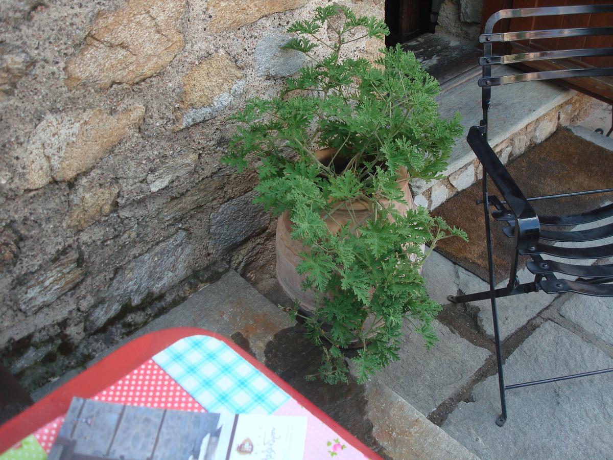 Oikia Alexandrou Traditional Inn อาร์ไนยา ภายนอก รูปภาพ